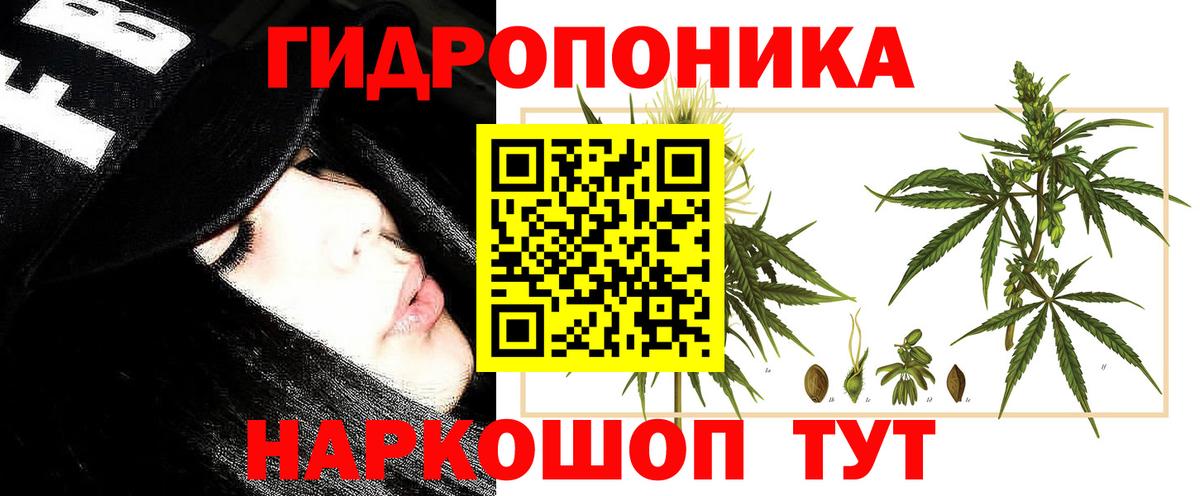 Бошки марихуана план  Каннабис SATIVA & INDICA  Бугуруслан  МАРИХУАНА AK-47  Вход с VPN 